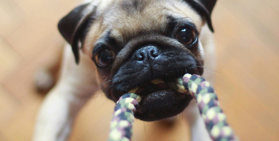 clanek 7 - pece 2026 7